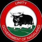 Nagalandlottery profile picture