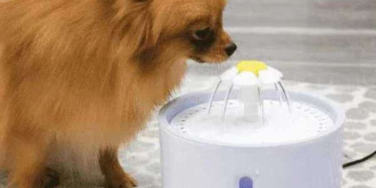 Features of intellectual auto pet water dispenser