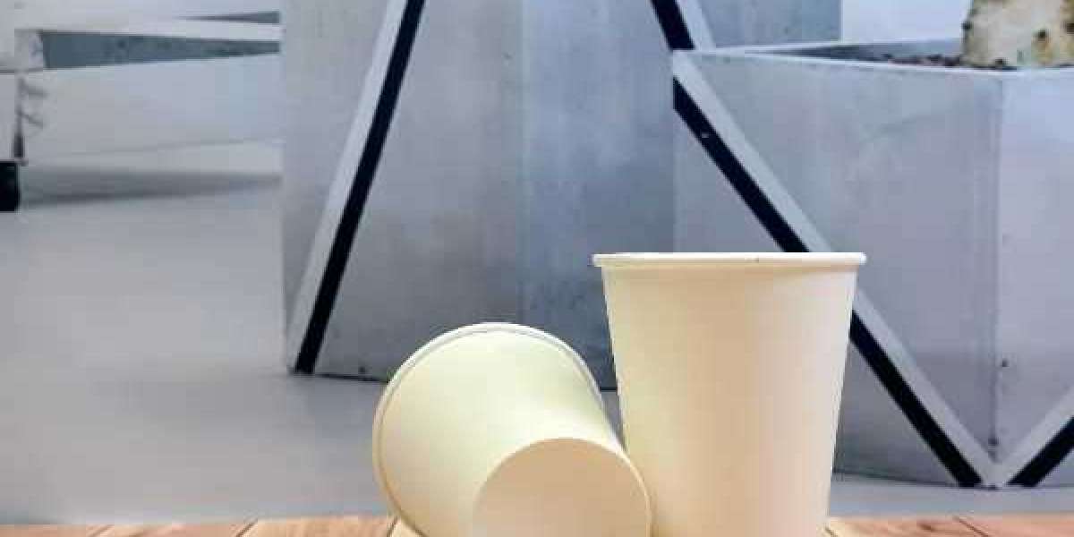 The Future of Eco-Friendly: Exploring the EPP Plastic-Free Coated Paper Cup