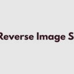 Reverse Image Search Profile Picture