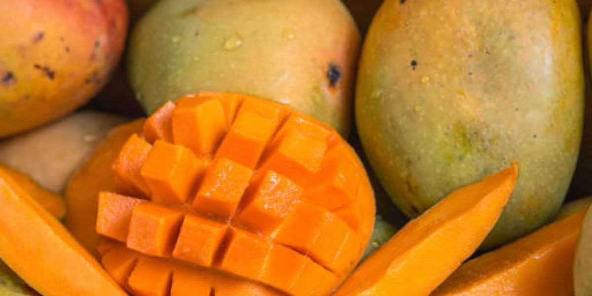 Market Insights: Analyzing Trends in Mango Exportation