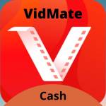 vidmate cash Profile Picture