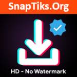 SnapTik APK profile picture