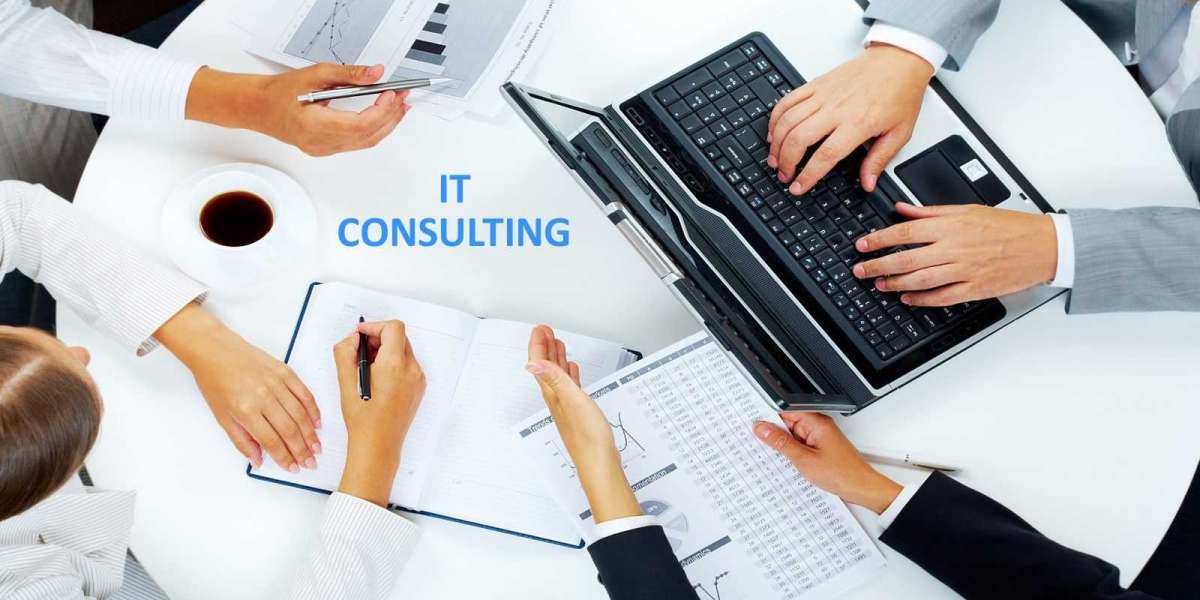 Elevate Your Business with Professional IT Consulting Services