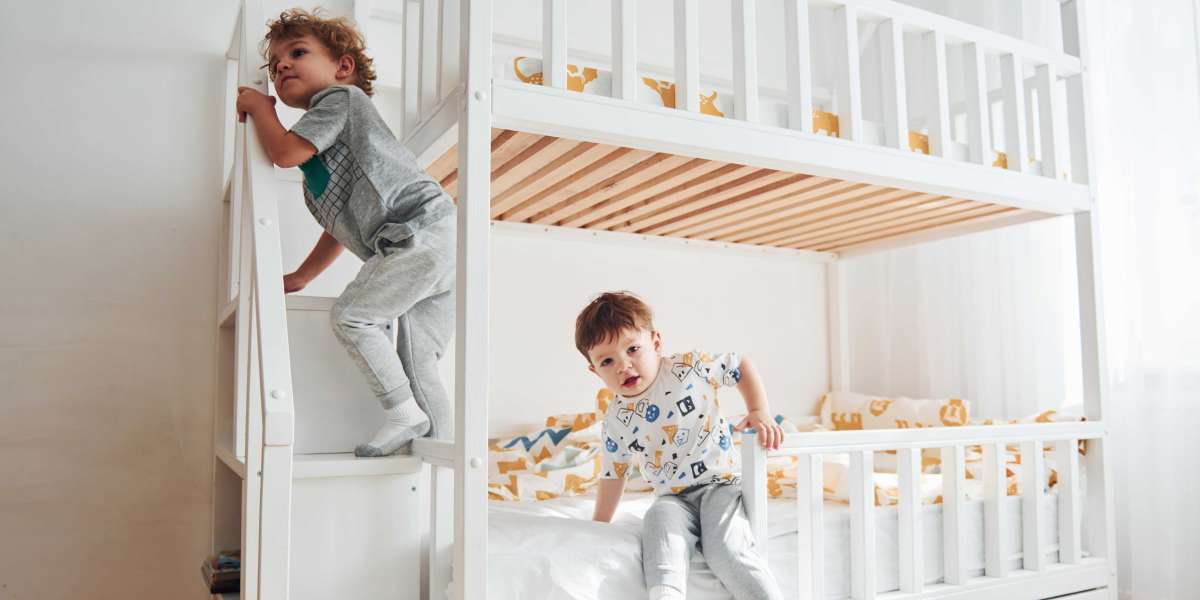 Five Laws That Will Aid The Toddler Bunk Beds Industry